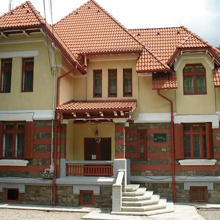Pensiunea Micsunica Sinaia Kültér fotó