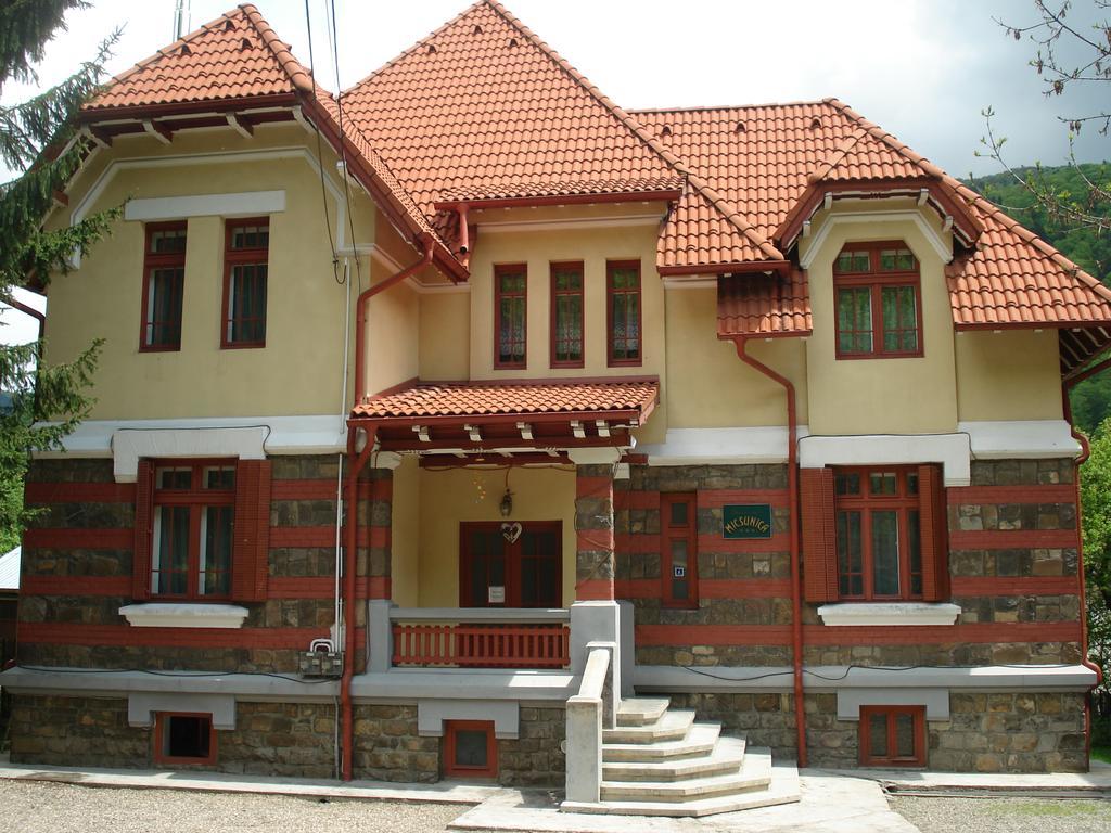 Pensiunea Micsunica Sinaia Kültér fotó